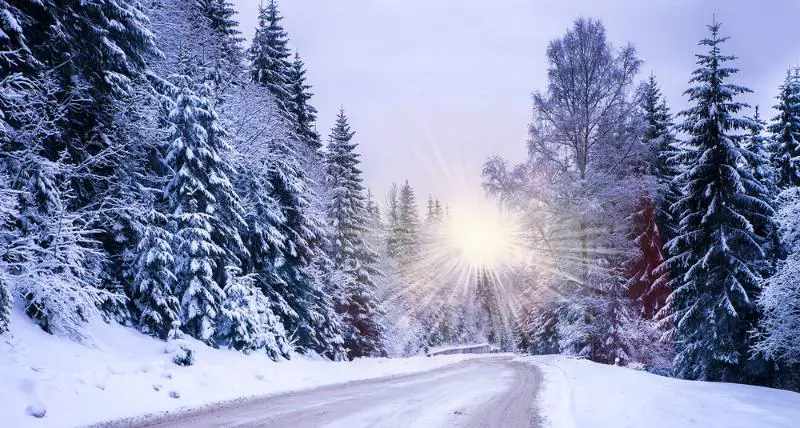 Winter road covered in snow with the sun showing through the trees.